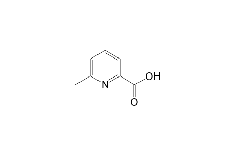 6-methylpicolinic acid