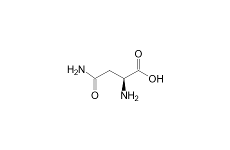 L-Asparagine