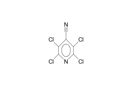 2,3,5,6-Tetrachloroisonicotinonitrile