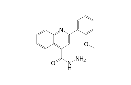 2-(2-Methoxyphenyl)-4-quinolinecarbohydrazide