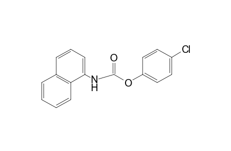 1-NAPHTHALENECARBAMIC ACID, p-CHLOROPHENYL ESTER