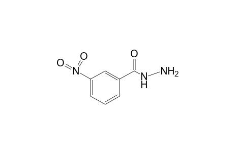 m-Nitrobenzoic acid, hydrazide