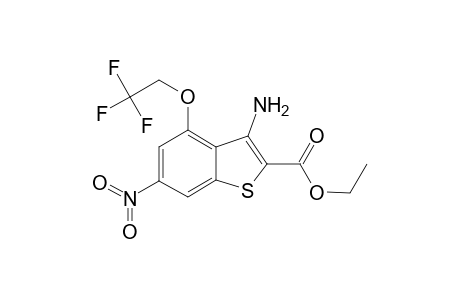 3-Amino-6-nitro-4-(2,2,2-trifluoroethoxy)-1-benzothiophene-2-carboxylic acid ethyl ester