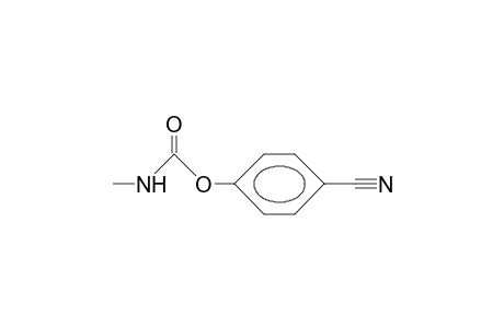 PARA-CYANOPHENYL-N-METHYLCARBAMATE