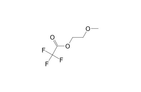 trifluoroacetic acid, 2-methoxyethyl ester