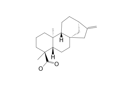 4-EPI-KAURENIC_ACID