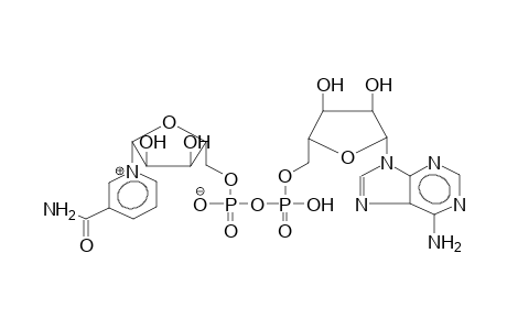 β-Nicotinamide adenine dinucleotide