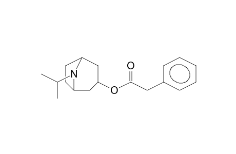 IPRATROPIUM-ARTIFACT 1