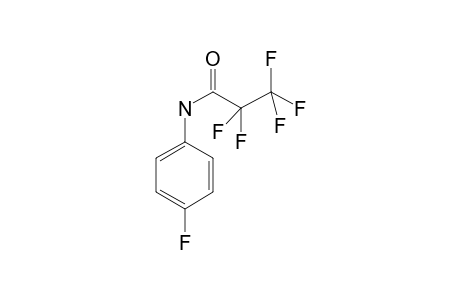 4-Fluoroaniline PFP