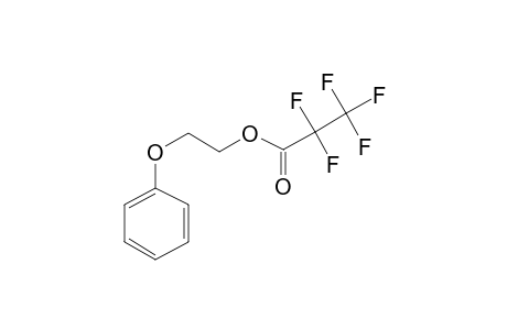 2-Phenoxyethanol, pentafluoropropionate