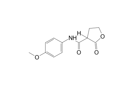 2-oxo-2,3,4,5-tetrahydro-3-fur-p-anisidide