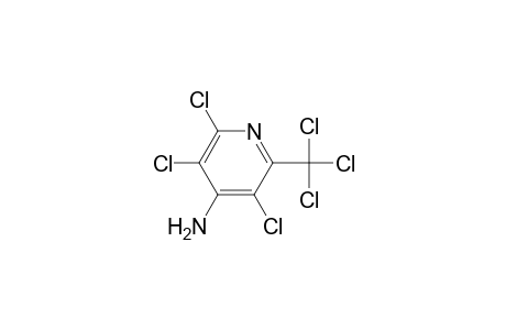 2,3,5-trichloro-6-(trichloromethyl)-4-pyridinamine