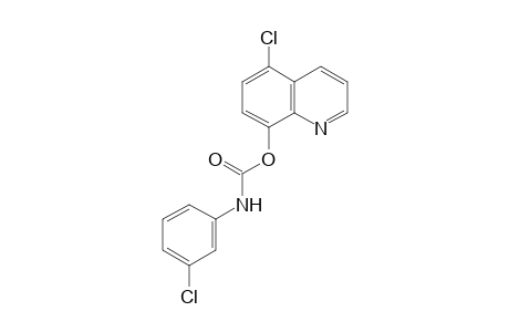 5-chloro-8-quinolinol, m-chlorocarbanilate (ester)