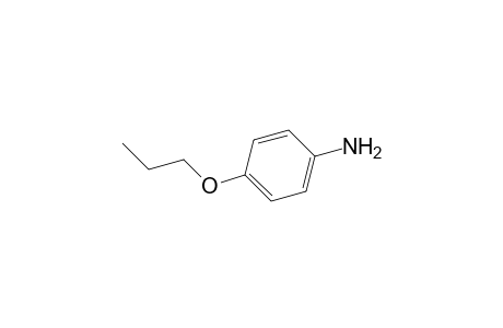 p-Propoxyaniline