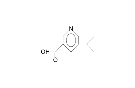 5-Isopropyl-nikotinsaeure