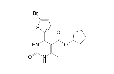 4-(5-Bromo-thiophen-2-yl)-6-methyl-2-oxo-1,2,3,4-tetrahydro-pyrimidine-5-carboxylic acid cyclopentyl ester