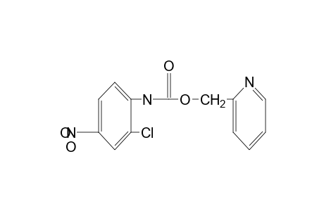 2-chloro-4-nitrocarbanilic acid, (2-pyridyl)methyl ester