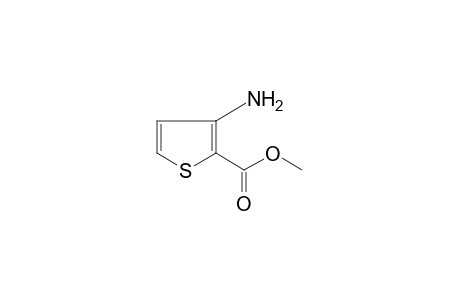 3-Amino-2-thiophenecarboxylic acid methyl ester