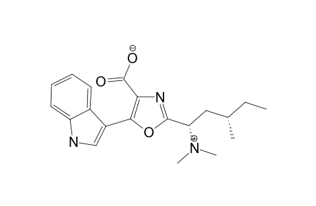 MARTEFRAGIN-A