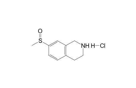 (+-)-7-Methylsulfinyl-1,2,3,4-tetrahydroisoquinoline hydrochloride