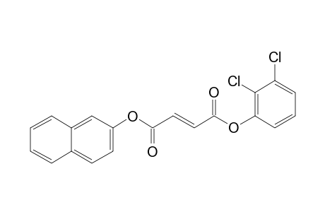 Fumaric acid, naphth-2-yl 2,3-dichlorophenyl ester