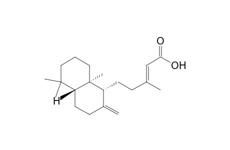 COPALIC_ACID;5-(2-METHYLENE-5,5,8A-TRIMEHYL-(1-R,4A-R,8A-R)-DECAHYDRONAPHTHALEN-1-YL)-3-METHYLPENT-2-E-ENOIC_ACID