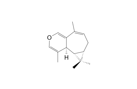 Plagiochiline N