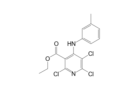 2,5,6-Trichloro-4-m-tolylamino-nicotinic acid ethyl ester