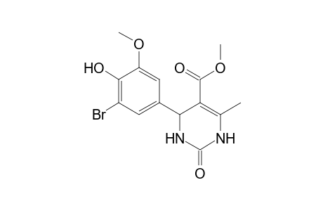 4-(3-bromo-4-hydroxy-5-methoxy-phenyl)-2-keto-6-methyl-3,4-dihydro-1H-pyrimidine-5-carboxylic acid methyl ester