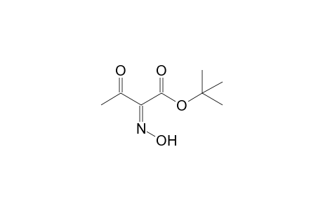 tert-Butyl (2Z)-2-hydroxyimino-3-oxobutanoate