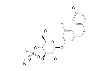 potassium [(2R,3S,4R,5R,6S)-4,5-dihydroxy-6-[3-hydroxy-5-[(Z)-2-(4-hydroxyphenyl)vinyl]phenoxy]-2-methylol-tetrahydropyran-3-yl] sulfate