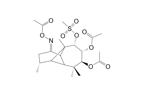 7-BETA,8-ALPHA,9-ALPHA-TRIHYDROXYLONGIPINAN-1-ONE-1-ACETYLOXIME-7,8-DIACETATE-9-MESYLATE