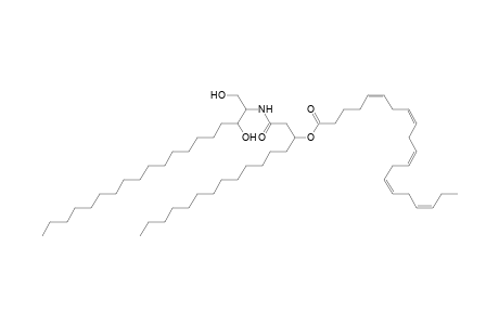 Cer 19:0;2O/16:0;(3OH)(FA 20:5)