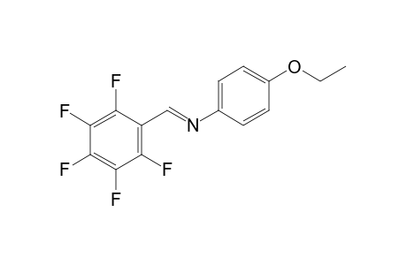 N-(2,3,4,5,6-pentafluorobenzylidene)-p-phenetidine