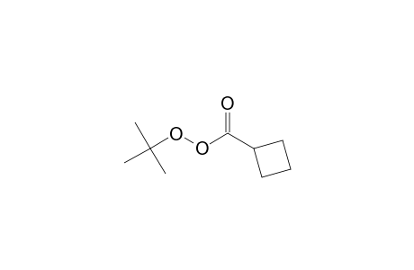 cyclobutanecarboperoxoic acid tert-butyl ester