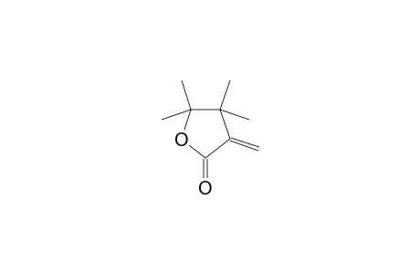 4,4,5,5-tetramethyl-3-methylideneoxolan-2-one