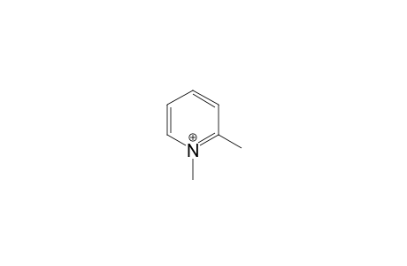 1,2-dimethylpyridin-1-ium