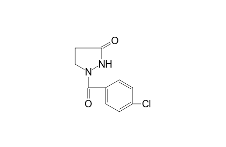 1-(p-chlorobenzoyl)-3-pyrazolidinone