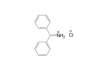Benzophenoniminium-chloride