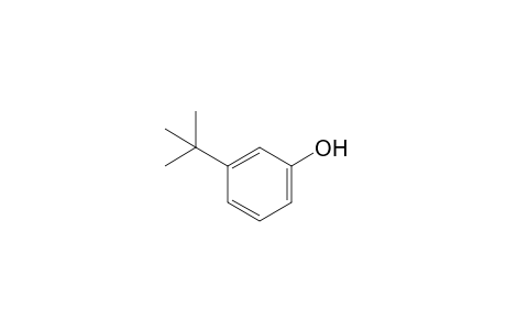 3-Tert-butylphenol