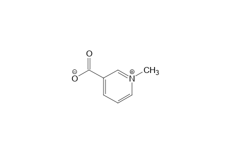 3-carboxy-1-methylpyridinium hydroxide, inner salt