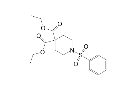 1-(phenylsulfonyl)-4,4-piperdinedicarboxylic acid, diethyl ester