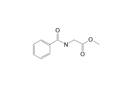 Hippuric acid methyl ester