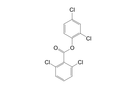 2,6-dichlorobenzoic acid, 2,4-dichlorophenyl ester