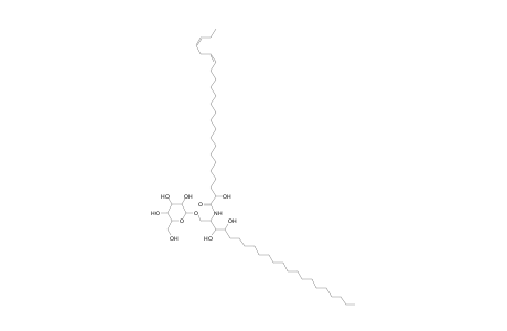 HexCer 22:0;3O/24:2;(2OH)