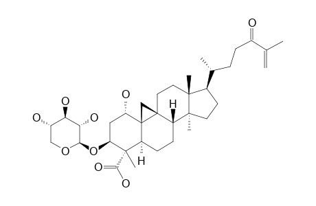 MUSAMBIOSIDE-C;(3-BETA-D-XYLOPYRANOSYL)-1-ALPHA,3-BETA-DIHYDROXY-CYCLOART-26-METHYLENE-24-OXO-28-CARBOXYLIC-ACID