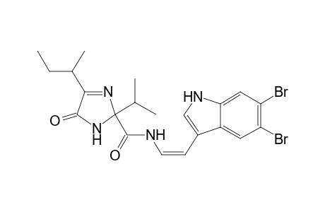 Kottamide A