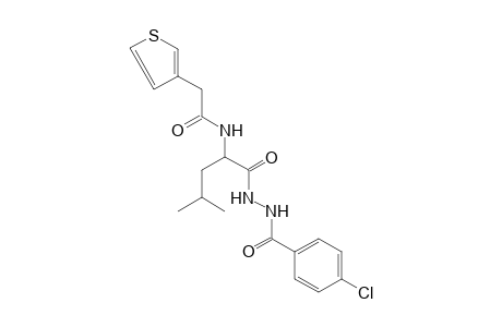 1-(p-chlorobenzoyl)-2-{N-[(3-thienyl)acetyl]leucyl}hydrazine