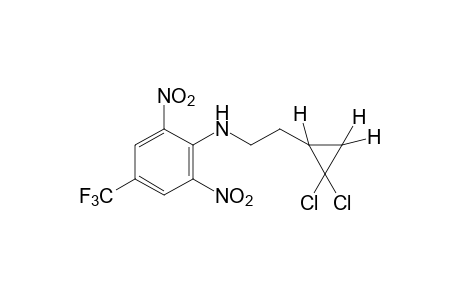 N-[2-(2,2-dichlorocyclopropyl)ethyl]-2,6-dinitro-alpha,alpha,alpha-trifluoro-p-toluidine