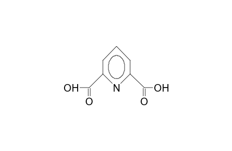 2,6-Pyridine dicarboxylic acid